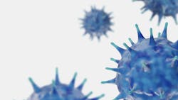 Adobe Stock 329815628 62dabade9b572 Adobe Stock 329815628 62dabade9b572