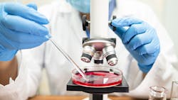 Adobe Stock 375651627 62dac04c8a4a3 Adobe Stock 375651627 62dac04c8a4a3