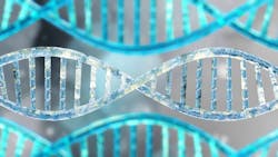 Adobe Stock 387460197 62debc364db3c Adobe Stock 387460197 62debc364db3c