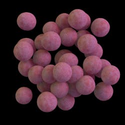 Adobe Staph Adobe Stock 260673937 62cc4ed4350f6 Adobe Staph Adobe Stock 260673937 62cc4ed4350f6