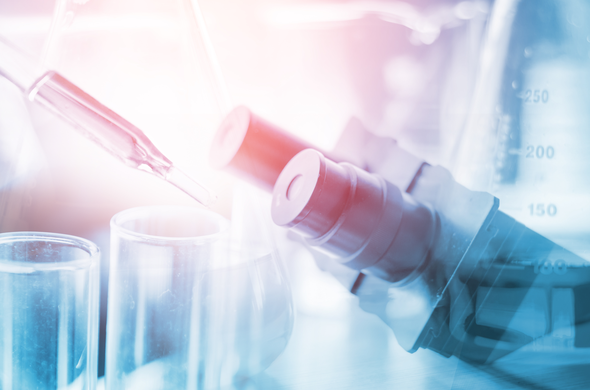 Adobe Stock 194629578 62dabd108692a