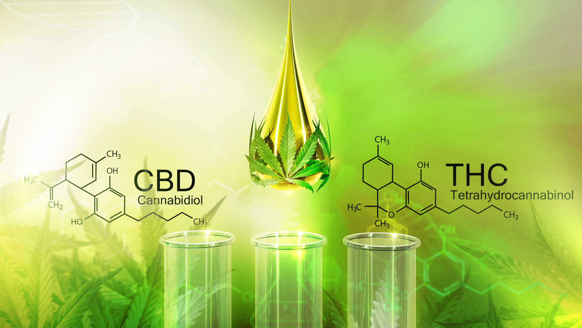 Adobe Stock 266690169 62e14a7c12501