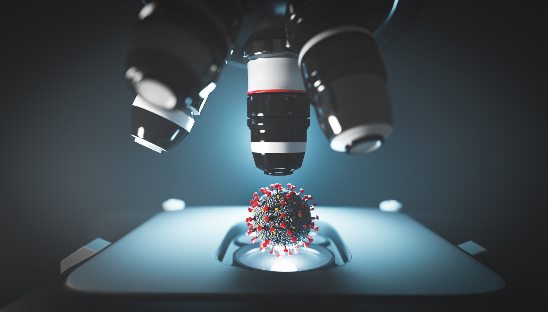 Adobe Stock 368791059 1 62e15e46151a6