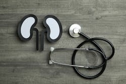 Adobe Stock 412824105 62e14b48ce77a Adobe Stock 412824105 62e14b48ce77a