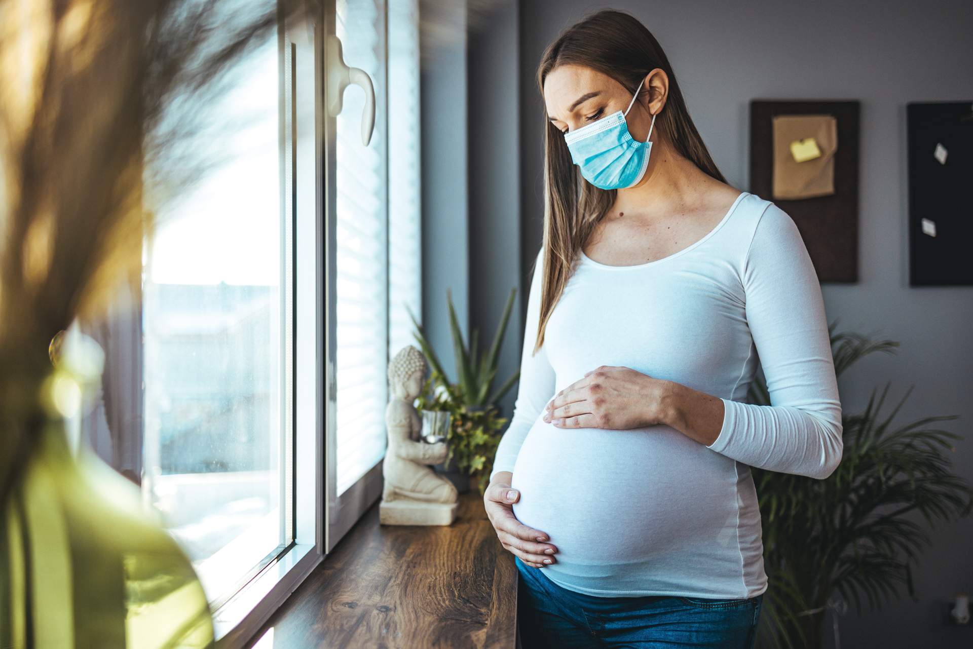 Adobe Stock 484368499 62d02dd7b6474