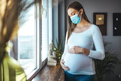 Adobe Stock 484368499 62d02dd7b6474 Adobe Stock 484368499 62d02dd7b6474