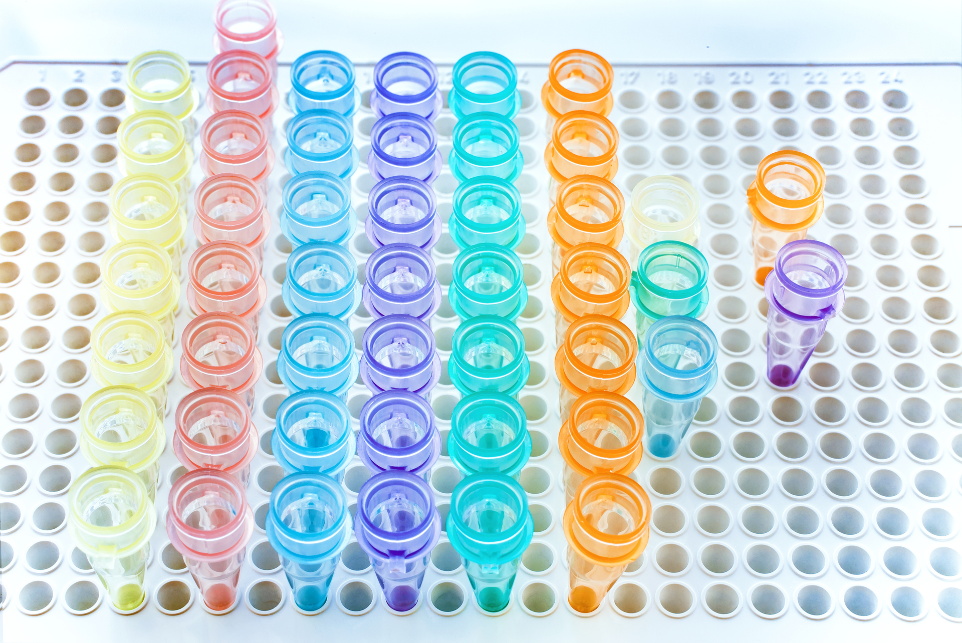 Adobe Lab Testing Adobe Stock 179522681 62c70d724f442