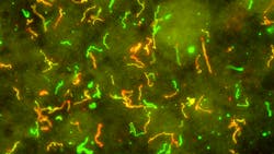 18132 62f2832c026fb 18132 62f2832c026fb