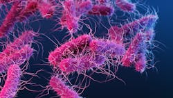 23242 62e962c31ed9d 23242 62e962c31ed9d