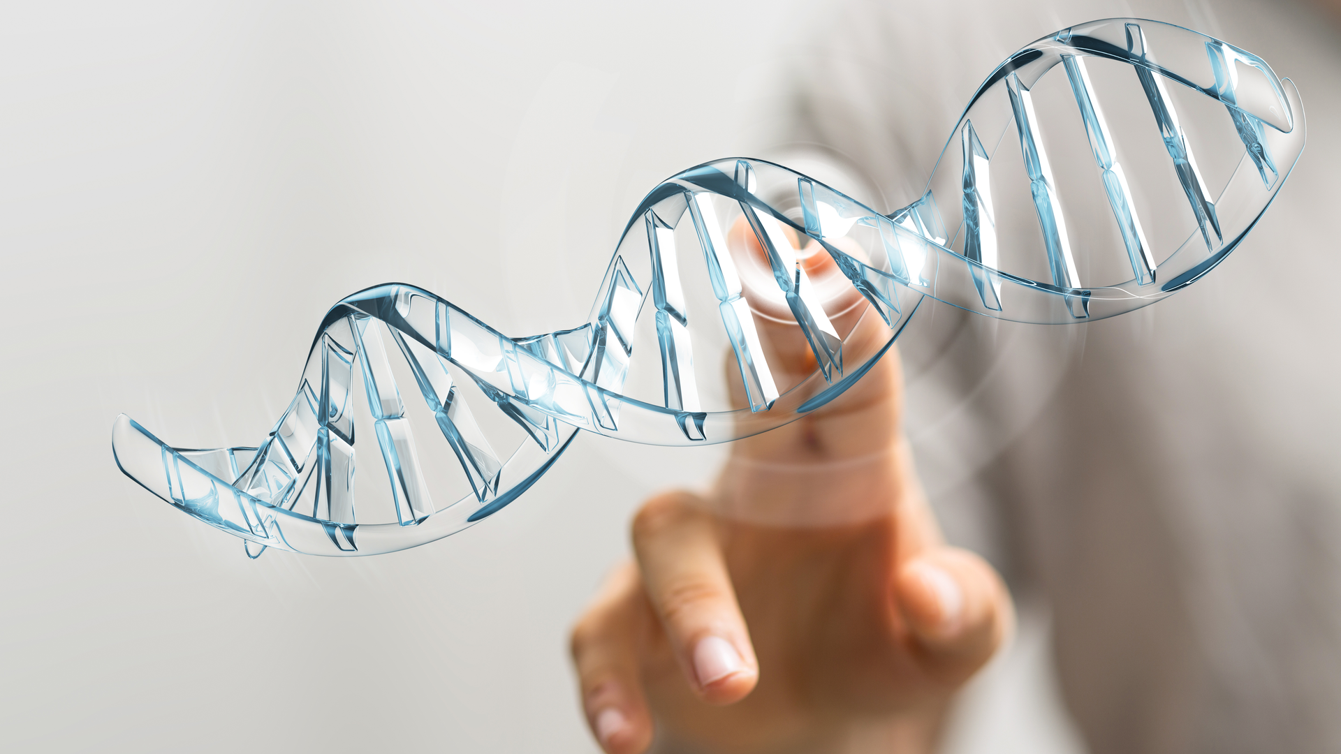 Adobe Stock 105684037 1 62f289de878f5