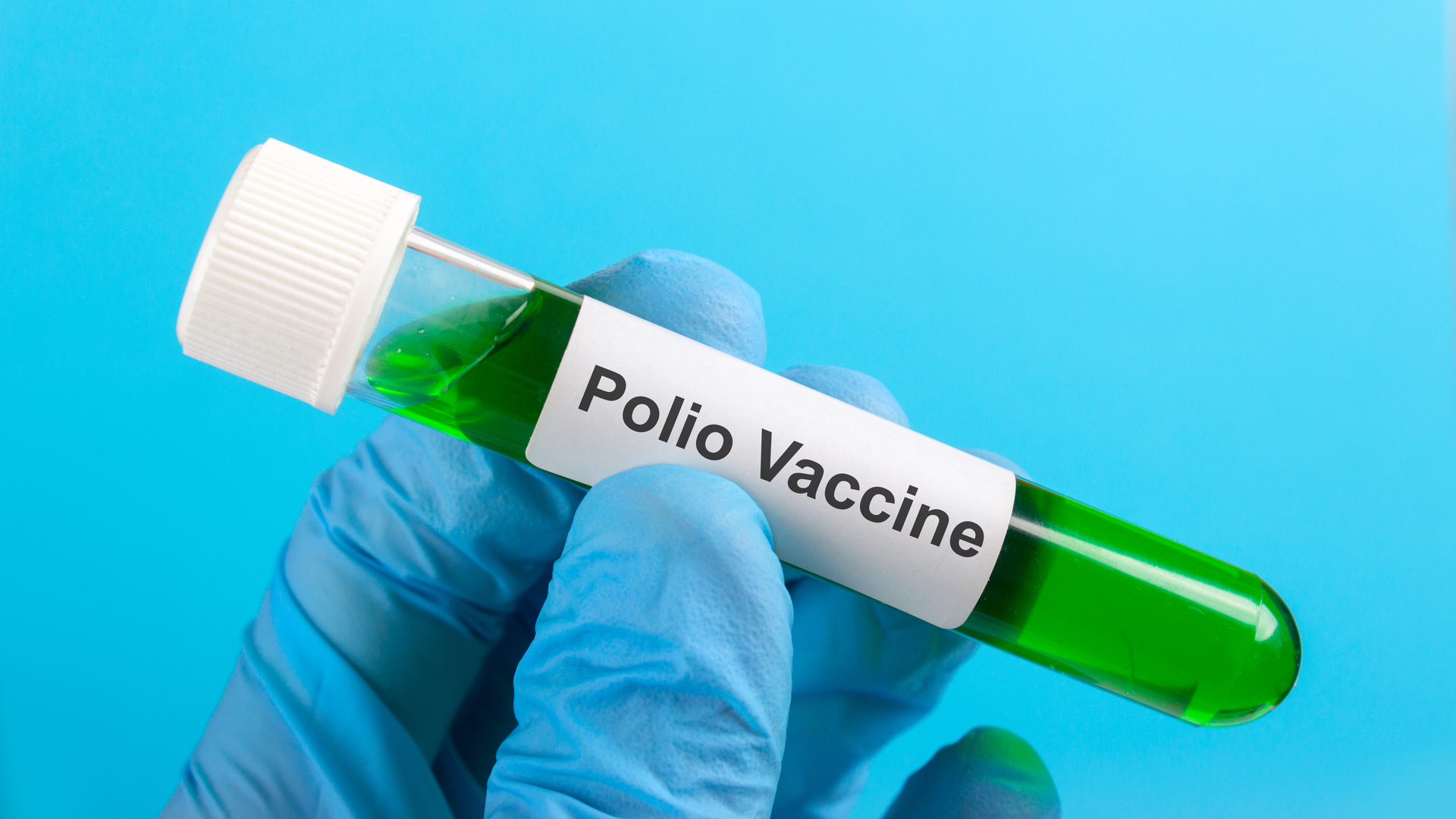 Adobe Stock 137386280 630d14d1c3679