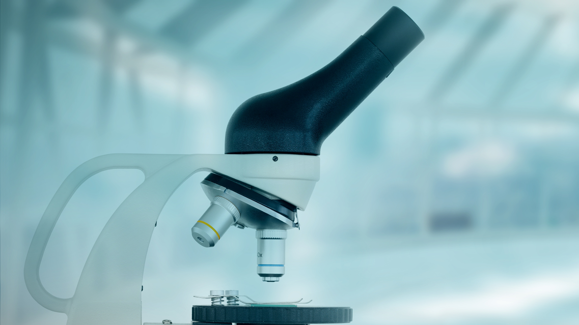 Adobe Stock 181108486 62ff8ca619144