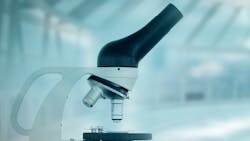 Adobe Stock 181108486 62ff8ca619144 Adobe Stock 181108486 62ff8ca619144