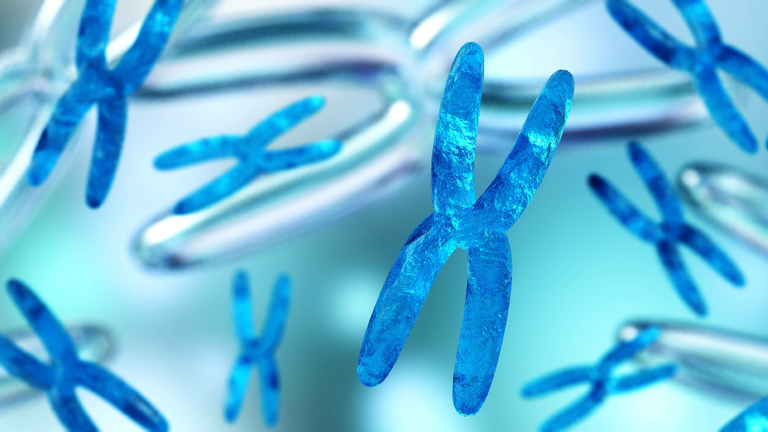 Adobe Stock 229043399 62fe6a406f84e