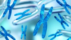 Adobe Stock 229043399 62fe6a406f84e Adobe Stock 229043399 62fe6a406f84e