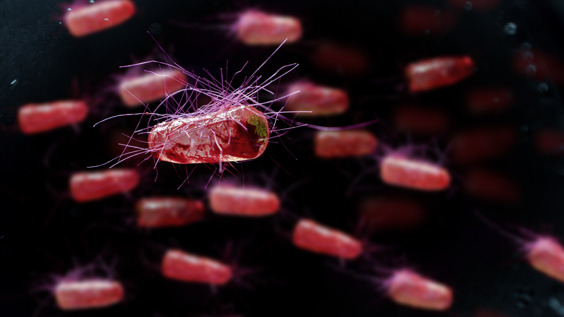 Adobe Stock 233837611 62fe657c0b850