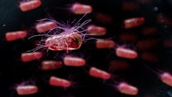 Adobe Stock 233837611 62fe657c0b850 Adobe Stock 233837611 62fe657c0b850