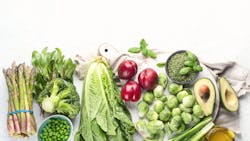 Adobe Stock 266456600 62ebe8914c2ec Adobe Stock 266456600 62ebe8914c2ec