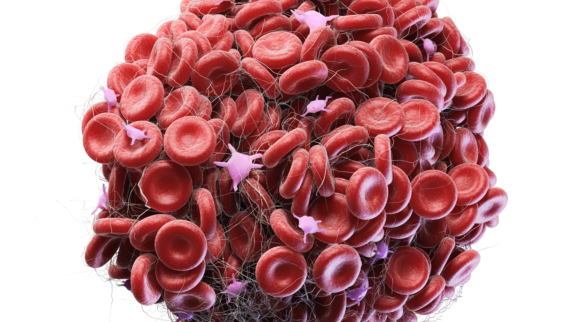 Adobe Stock 276498294 62ed415a8ba42