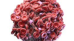 Adobe Stock 276498294 62ed415a8ba42 Adobe Stock 276498294 62ed415a8ba42