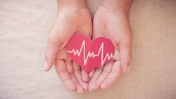 Adobe Stock 335454633 62e806bb88d4b Adobe Stock 335454633 62e806bb88d4b