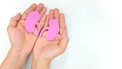 Adobe Stock 336047914 62f6842bb3634 Adobe Stock 336047914 62f6842bb3634