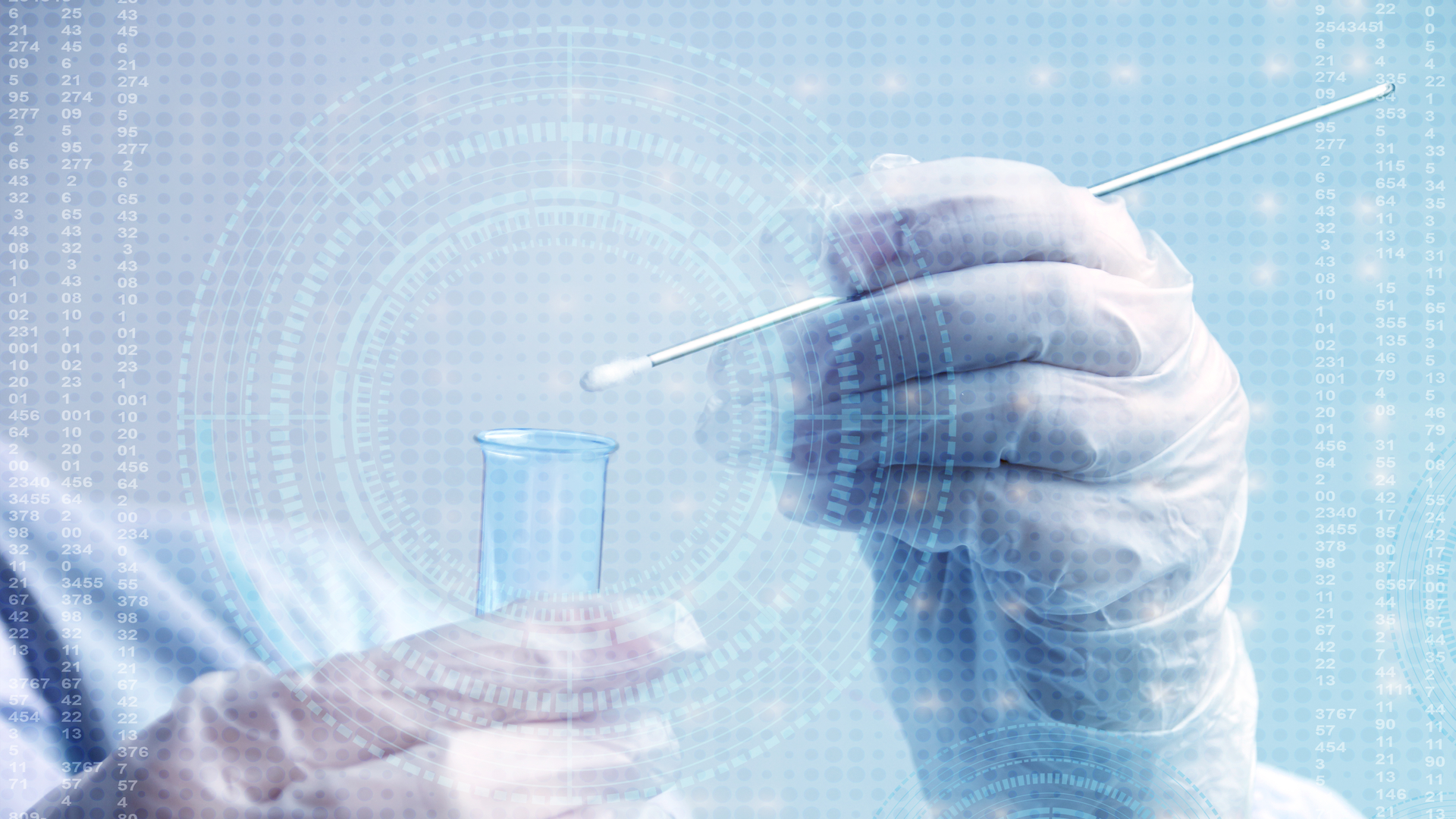 Adobe Stock 338593850 62f52ab43567e