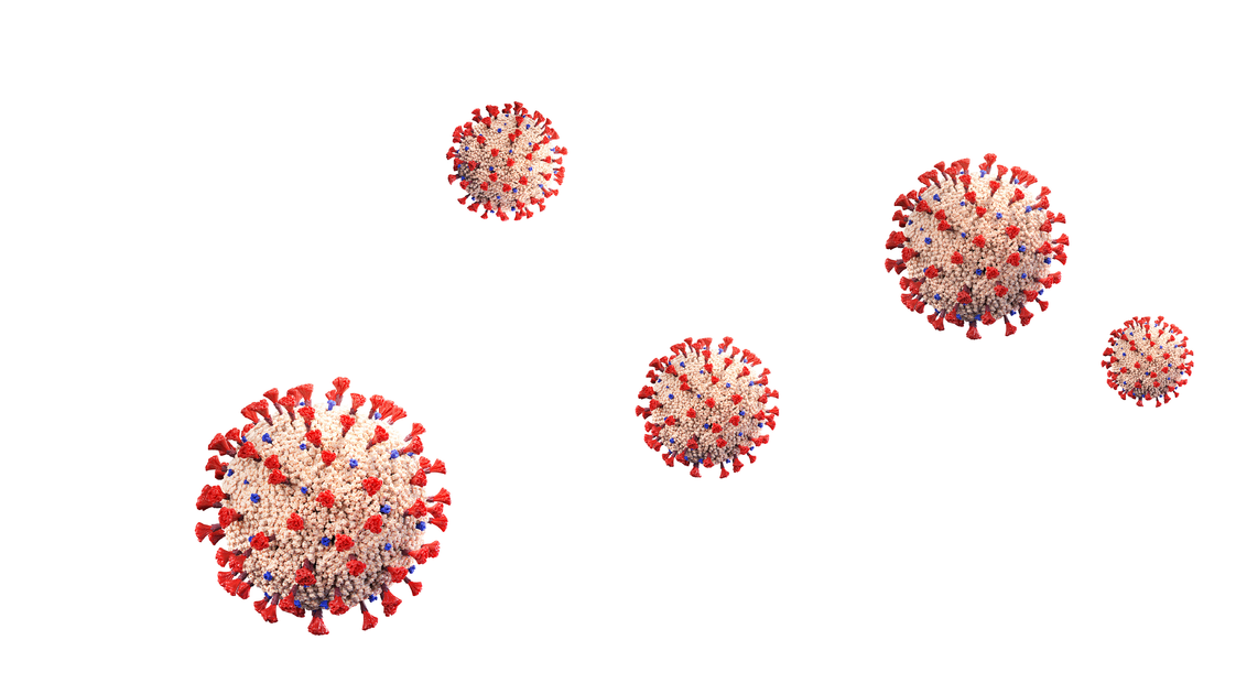 Adobe Stock 365675958 62fbc26773e8b