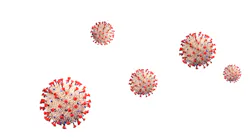 Adobe Stock 365675958 62fbc26773e8b Adobe Stock 365675958 62fbc26773e8b