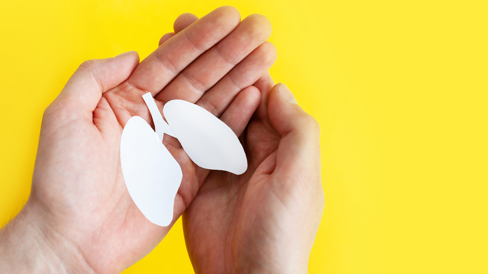 Adobe Stock 430015230 630d1090ac08f