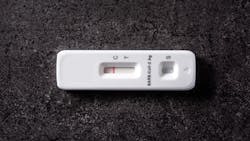 Adobe Stock 479953703 62f68673f3efe Adobe Stock 479953703 62f68673f3efe