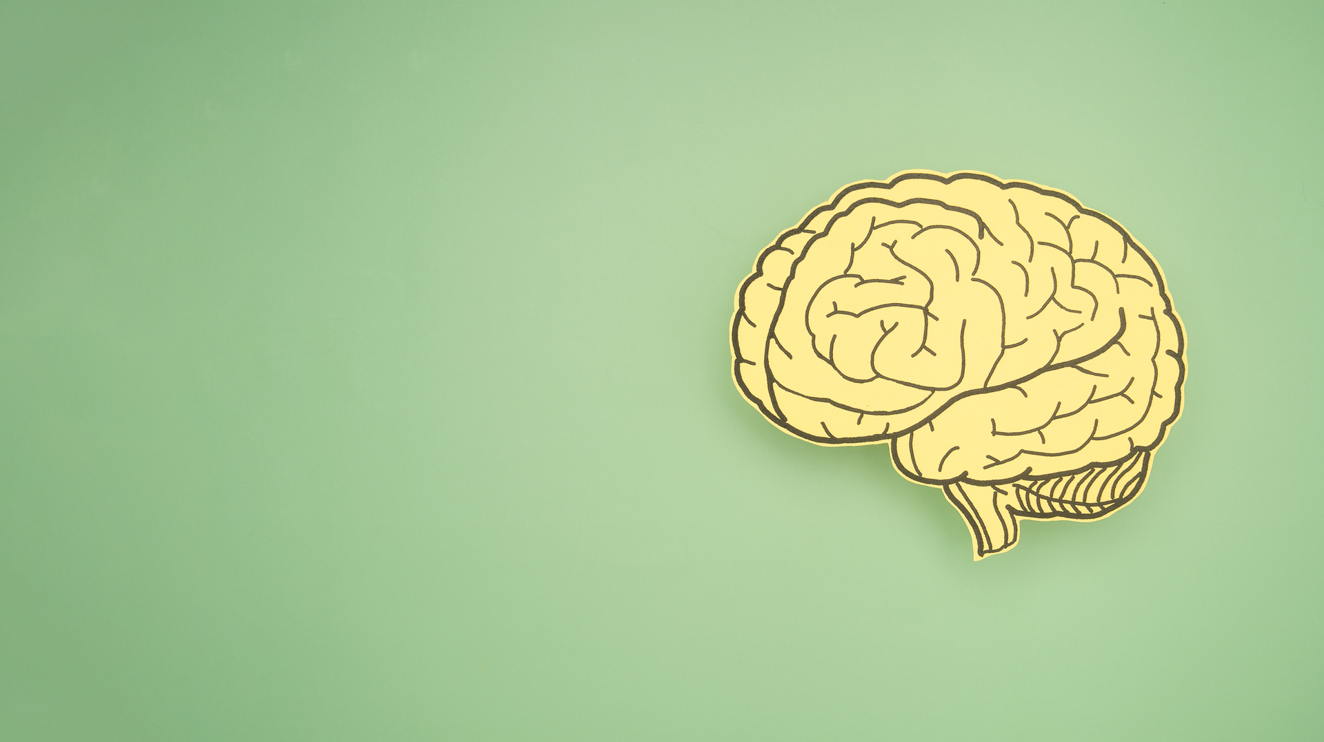 Adobe Stock 487258926 62f687a4b7ea1