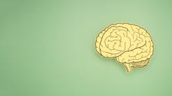 Adobe Stock 487258926 62f687a4b7ea1 Adobe Stock 487258926 62f687a4b7ea1