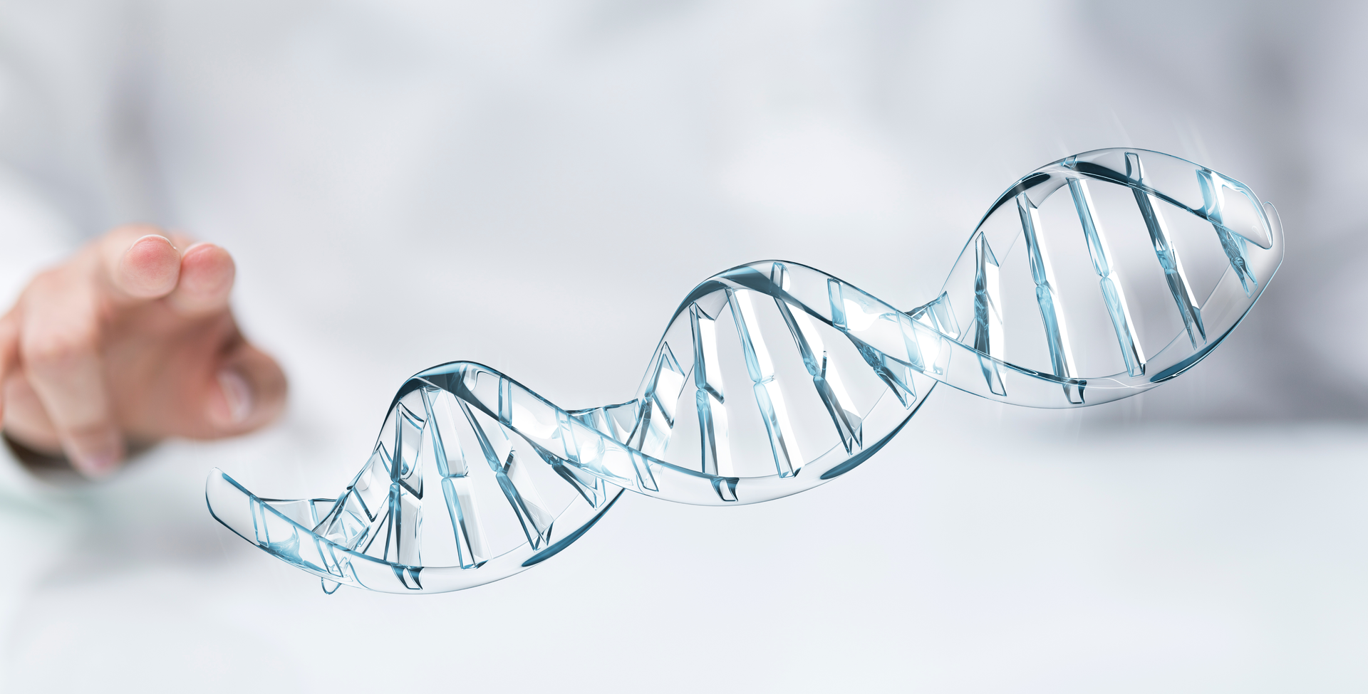 Adobe Stock 105562947 62fa5e2f5a220