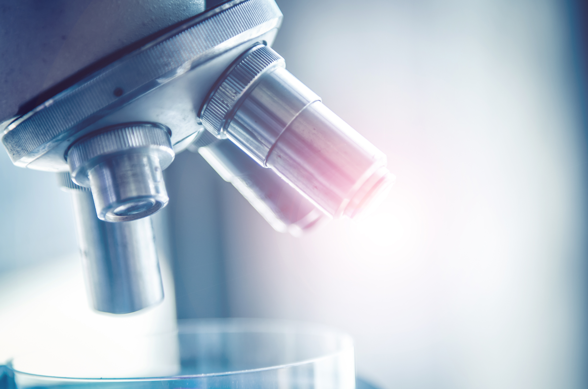 Adobe Stock 217437666 62e80a3f172de