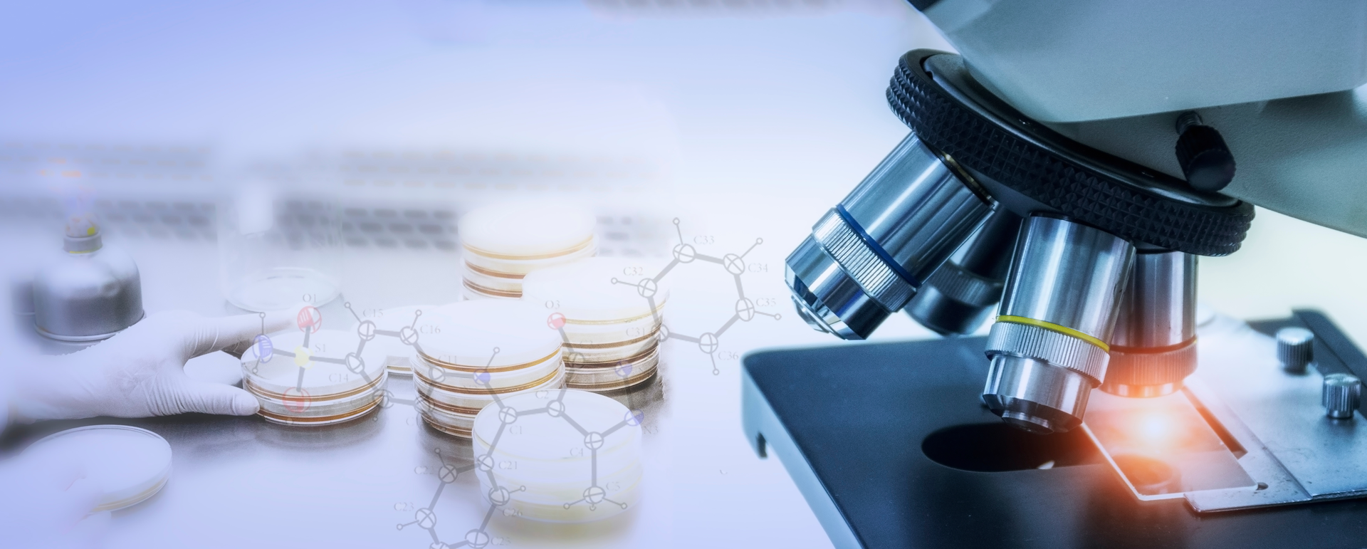 Adobe Stock 218444498 62eaa4a0ef1c5