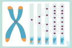 Adobe Stock 246871823 62eaa20007754 Adobe Stock 246871823 62eaa20007754