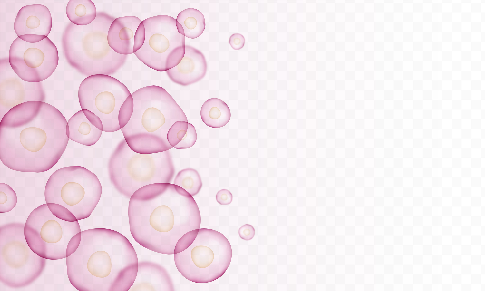 Adobe Stock 433376134 62f145272a712