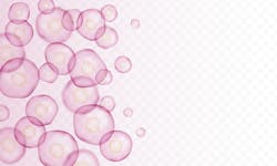 Adobe Stock 433376134 62f145272a712 Adobe Stock 433376134 62f145272a712