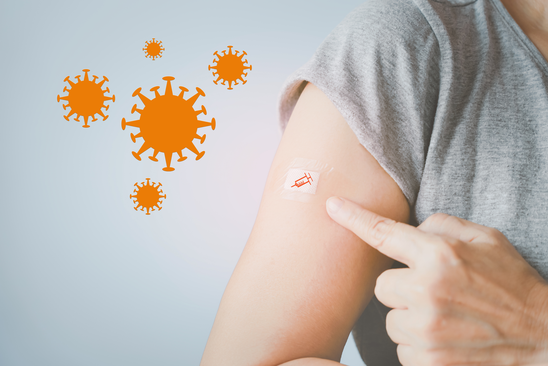 Adobe Stock 446751839 62fbc38800bea