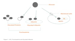 Figure 1 – A1 C, Fructosamine And Glycated Albumin Figure 1 – A1 C, Fructosamine And Glycated Albumin