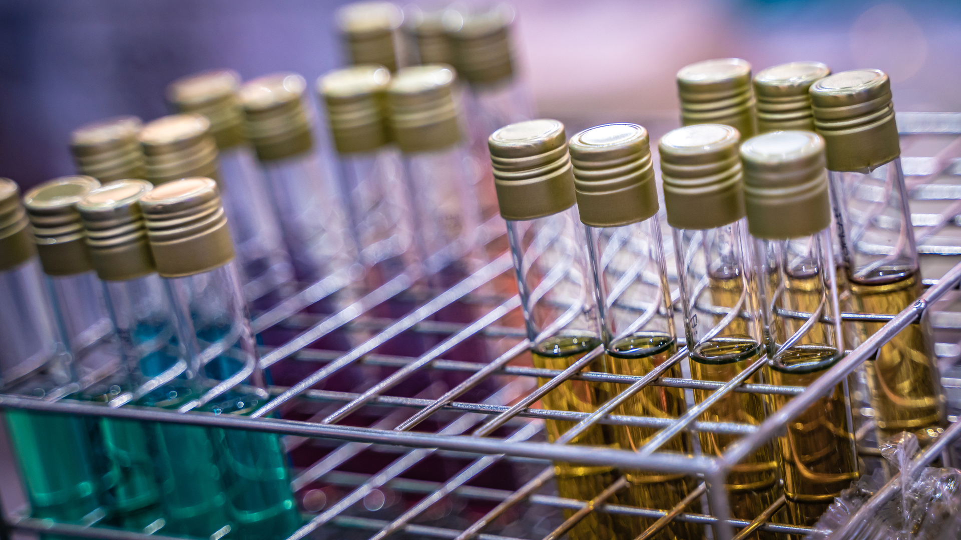 Dreamstime Xxl 126551345 1 62ff9a2489f2c