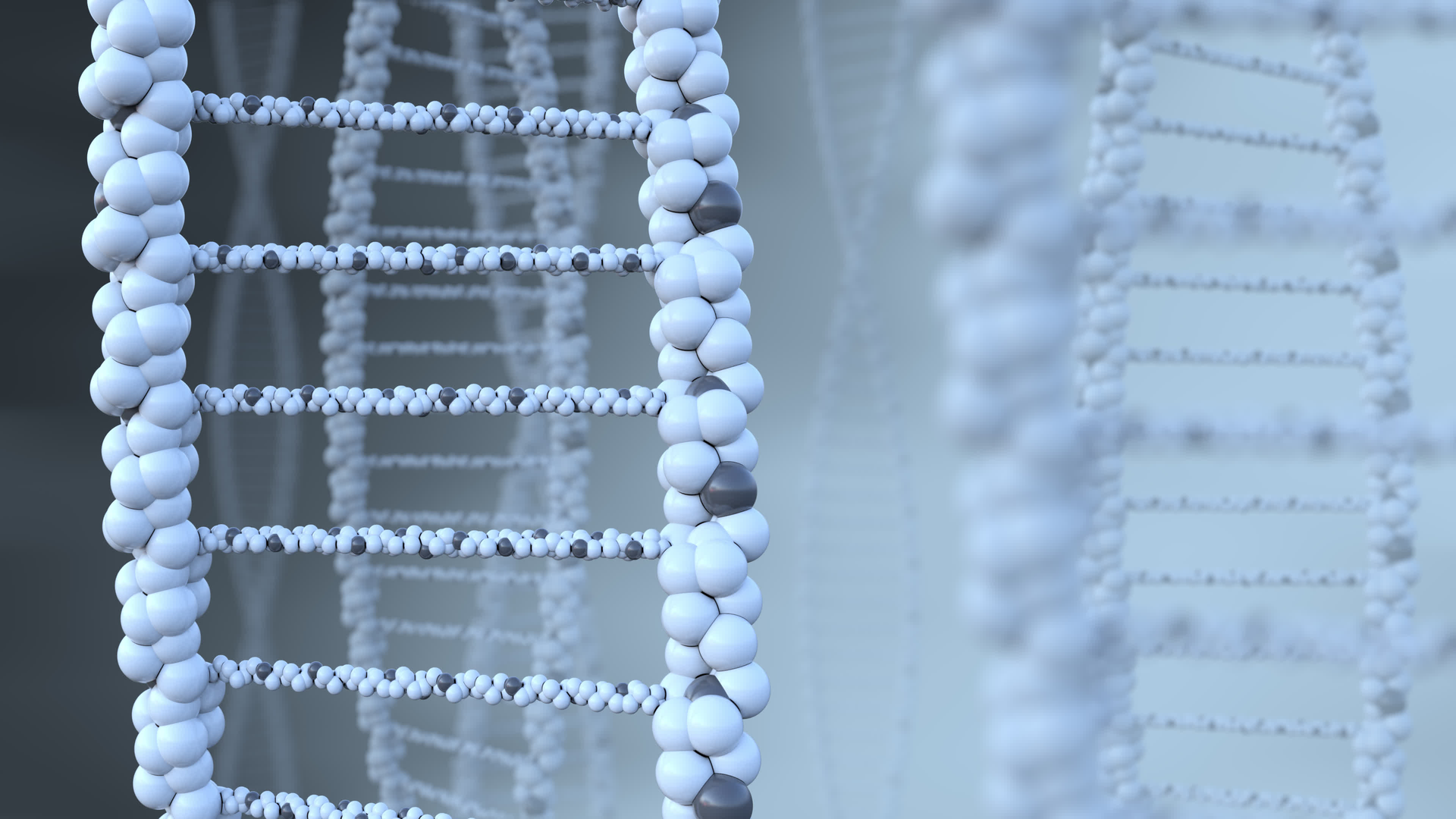 Dreamstime Xxl 80414627 1 630f9d5516774