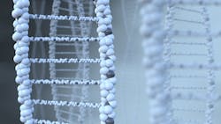 Dreamstime Xxl 80414627 1 630f9d5516774 Dreamstime Xxl 80414627 1 630f9d5516774