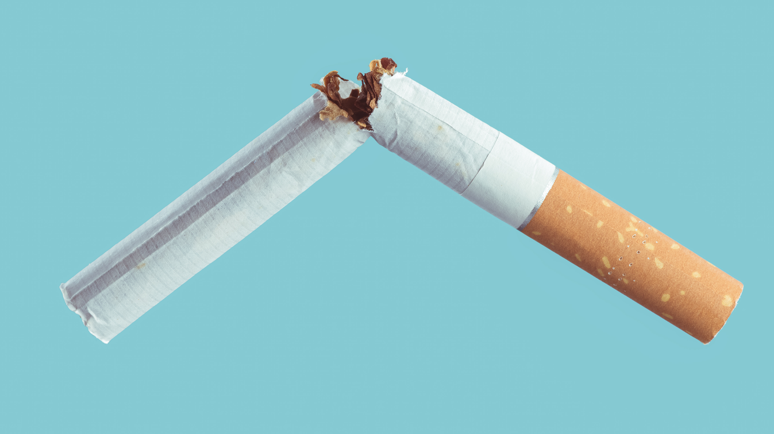 Adobe Stock 101919942 632093c66810b