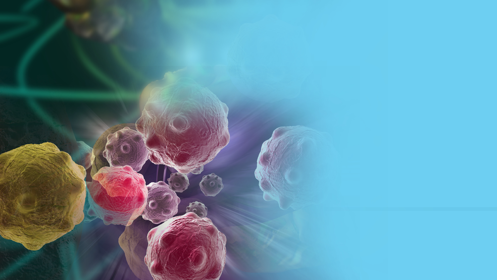 Adobe Stock 220431940 631f3f839adf1