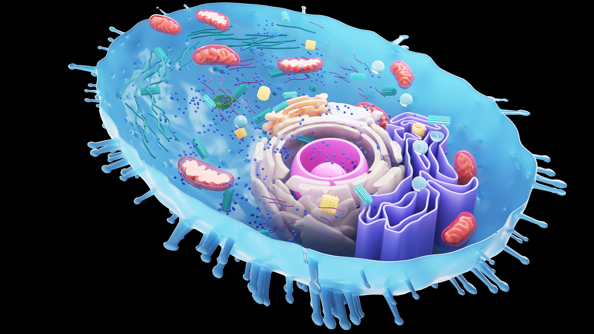 Adobe Stock 230403129 6329e3cbe3b9e