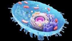 Adobe Stock 230403129 6329e3cbe3b9e Adobe Stock 230403129 6329e3cbe3b9e