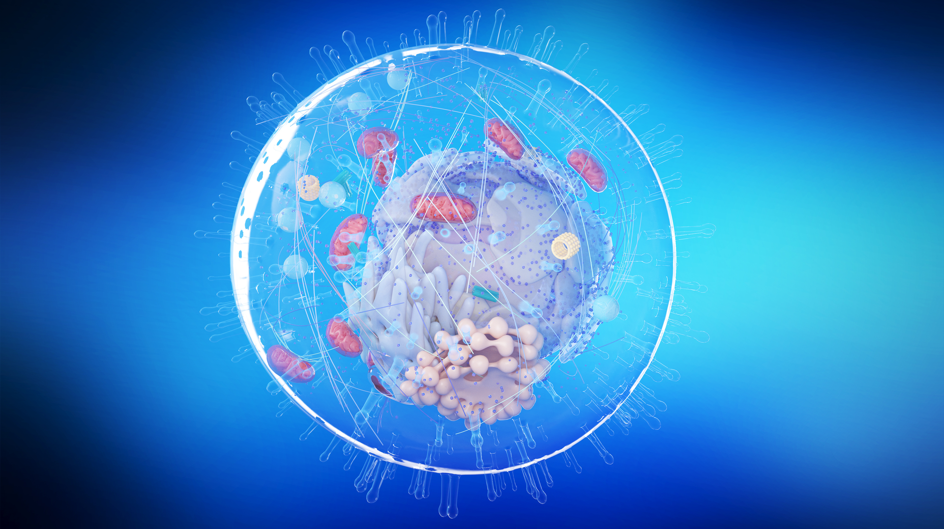 Adobe Stock 298739840 632b2780e4c4b