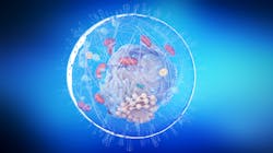 Adobe Stock 298739840 632b2780e4c4b Adobe Stock 298739840 632b2780e4c4b